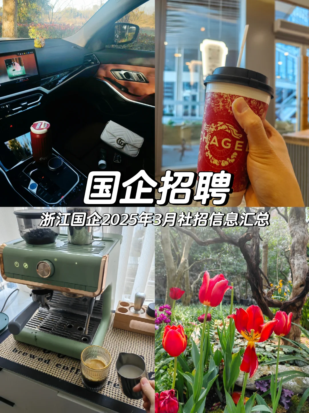 浙江国企3月招聘信息汇总