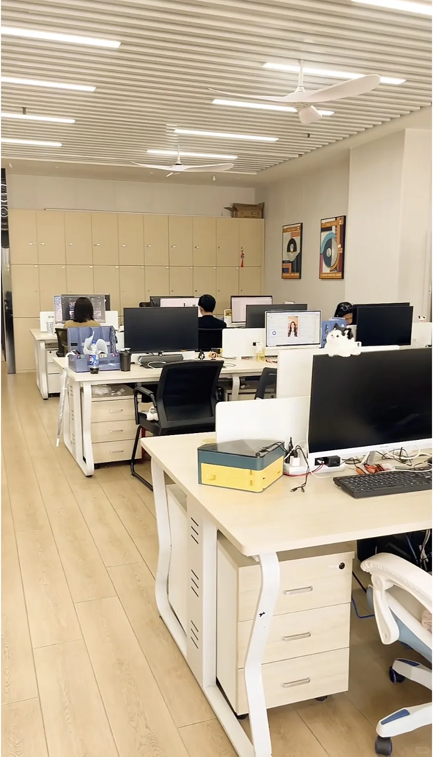 郑州00后勇闯传媒公司篇！招主播啦