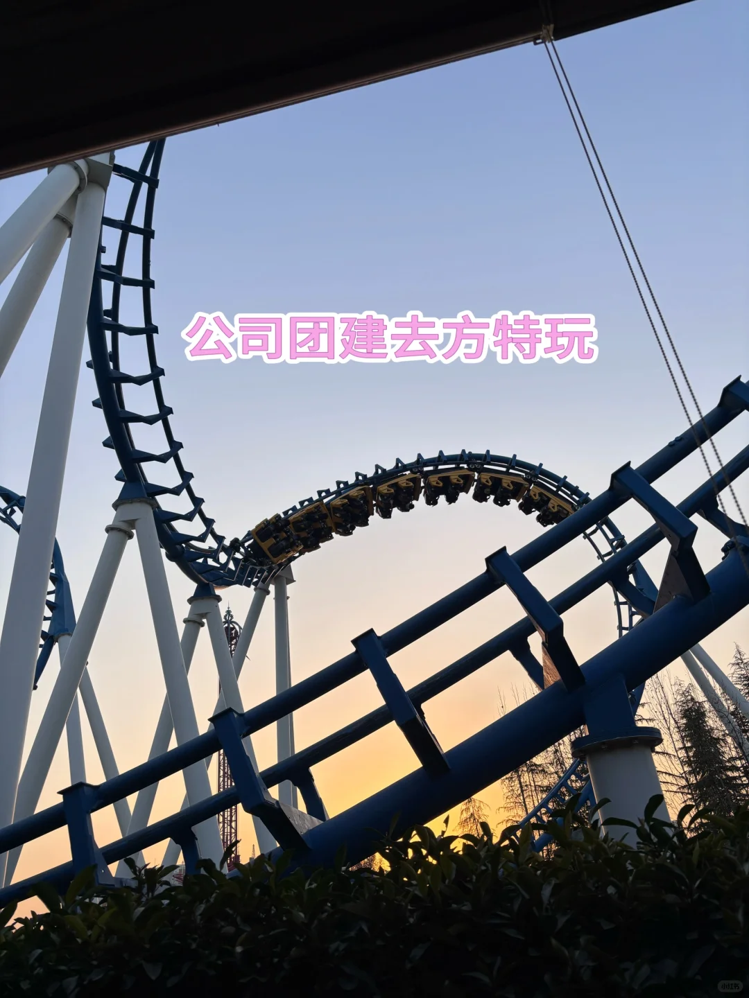 郑州滴工作搭子