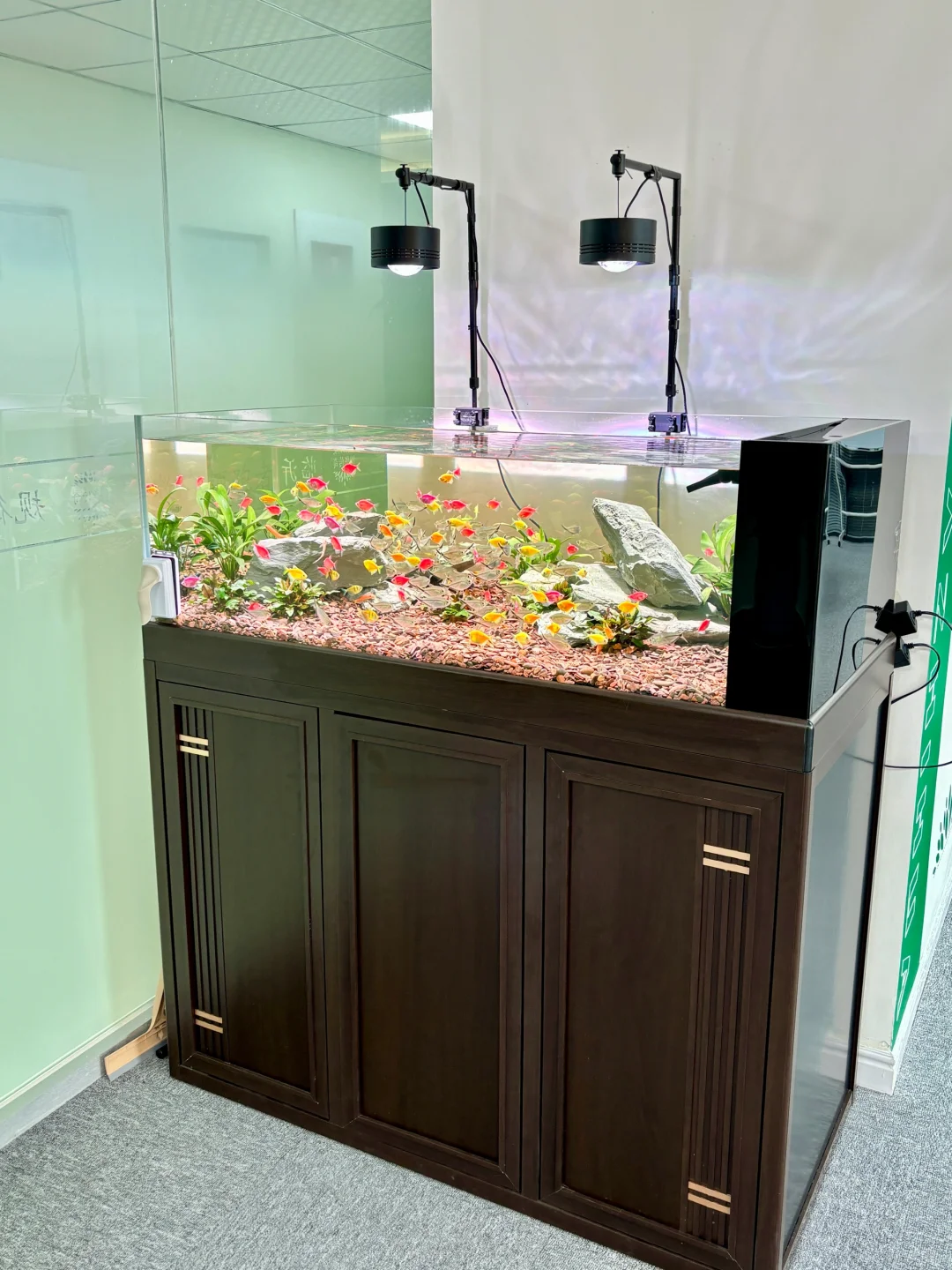 临沂兰山区招聘这么难吗