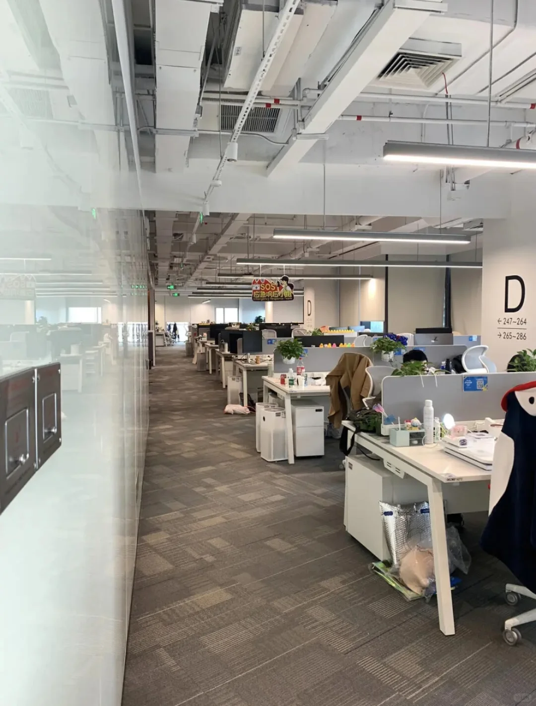 月收入6000＋还双休