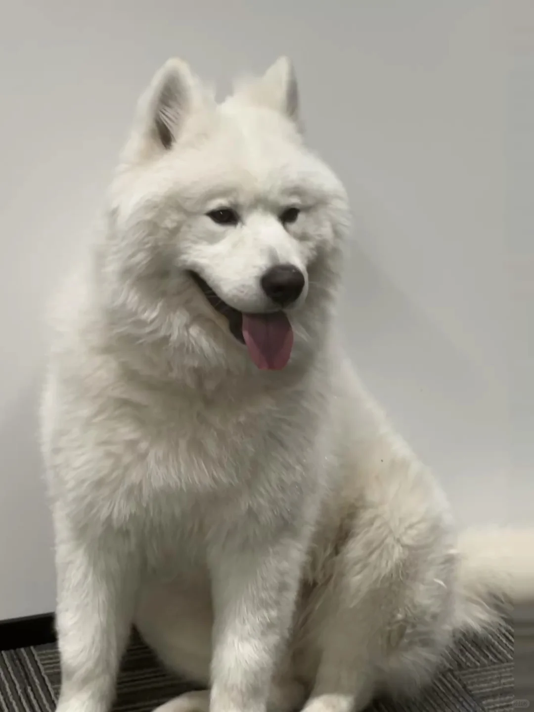 坐标：杭州 新公司落地 公司缺人 不加班