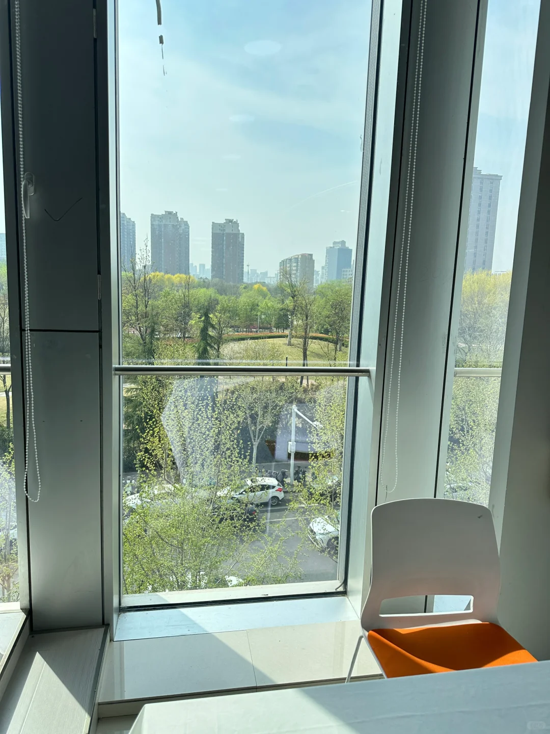 我真的服啦！招运营，主播！两个岗都在招！