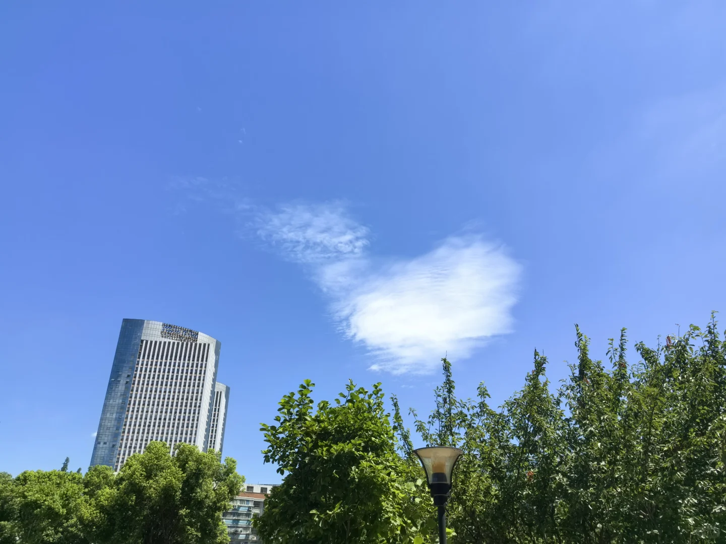 无锡电信，招人，招人，招人！