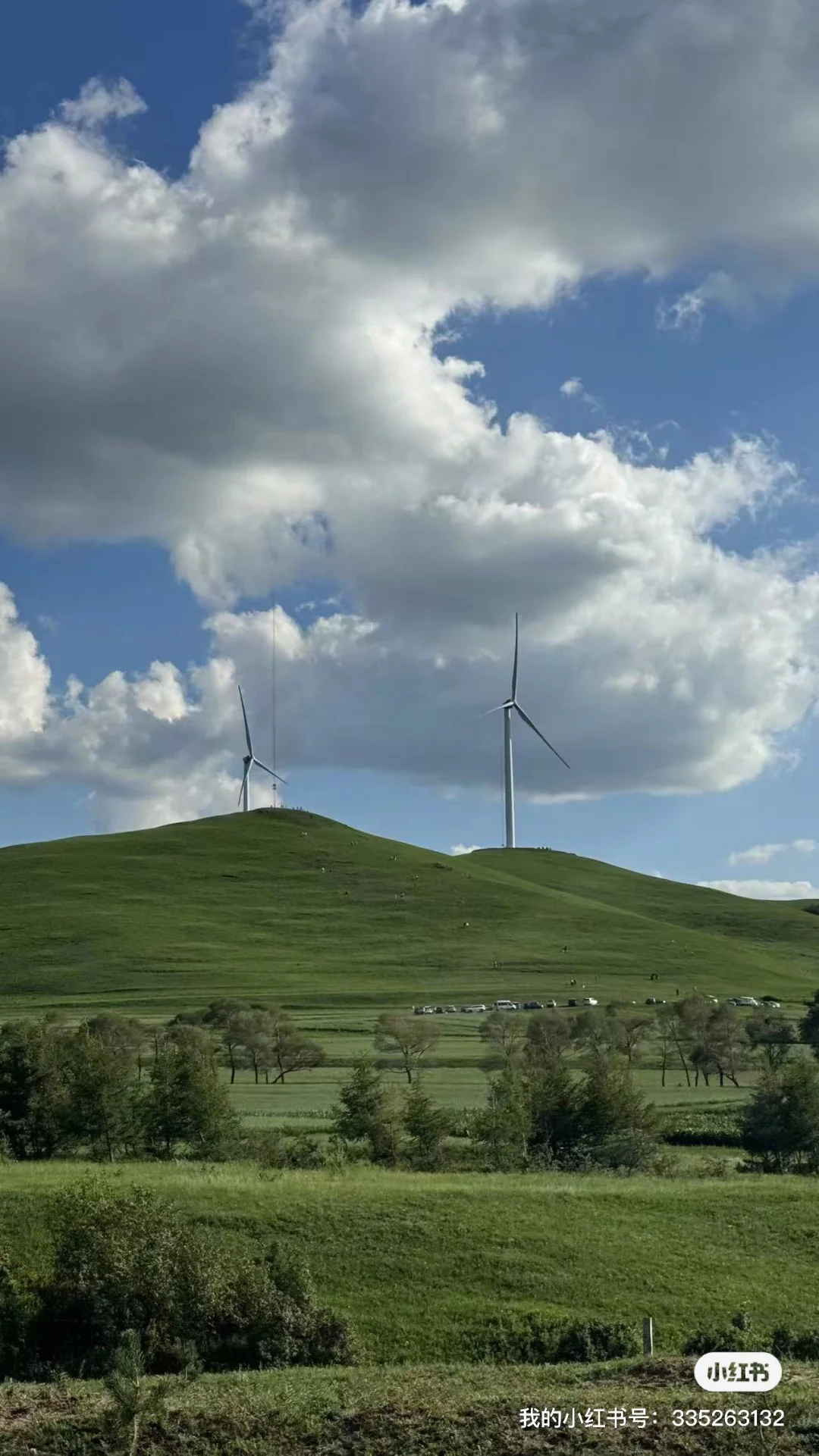 招聘舞蹈演员 歌手 马头琴师 主持人