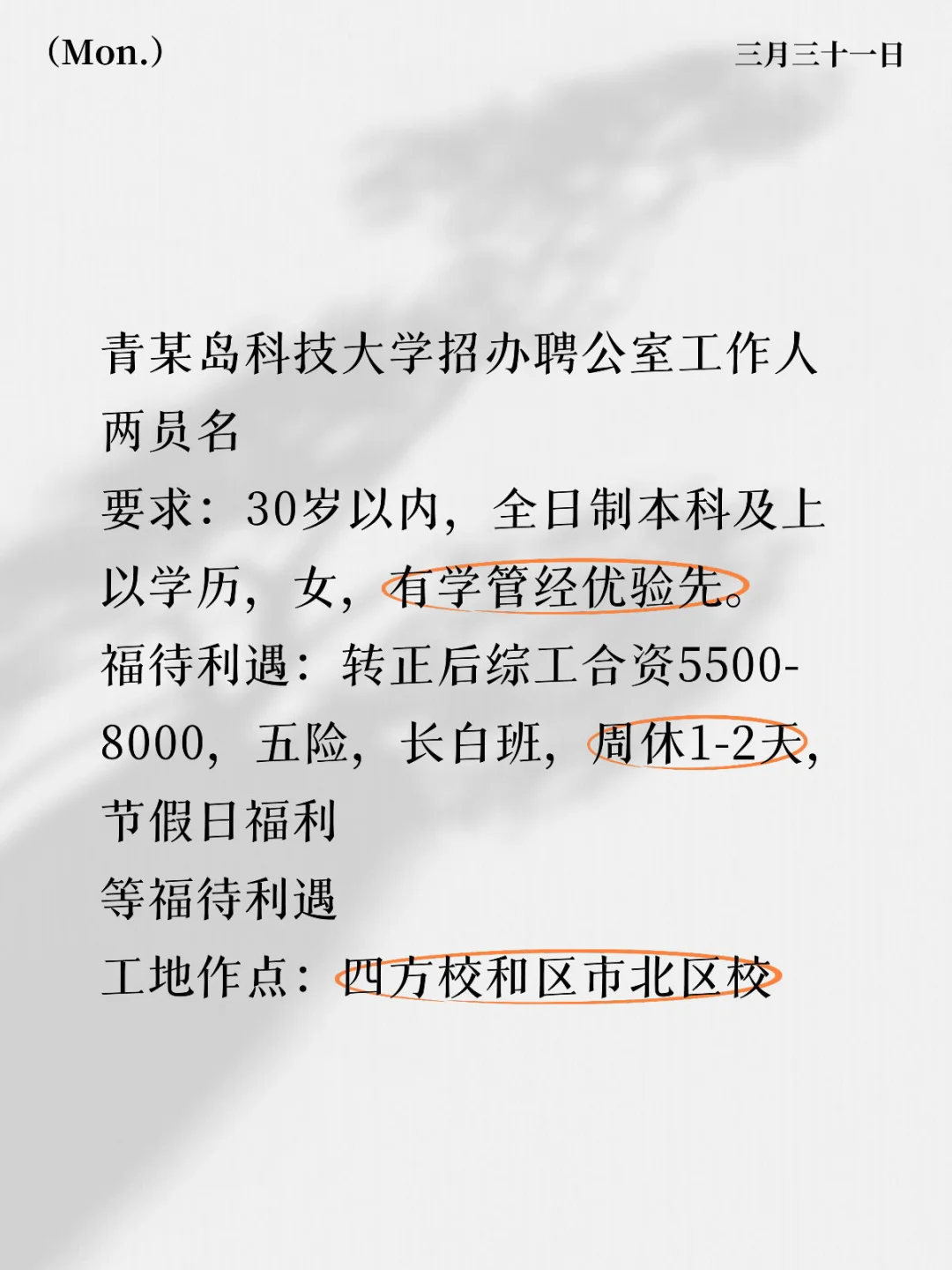 青科大办公室文员