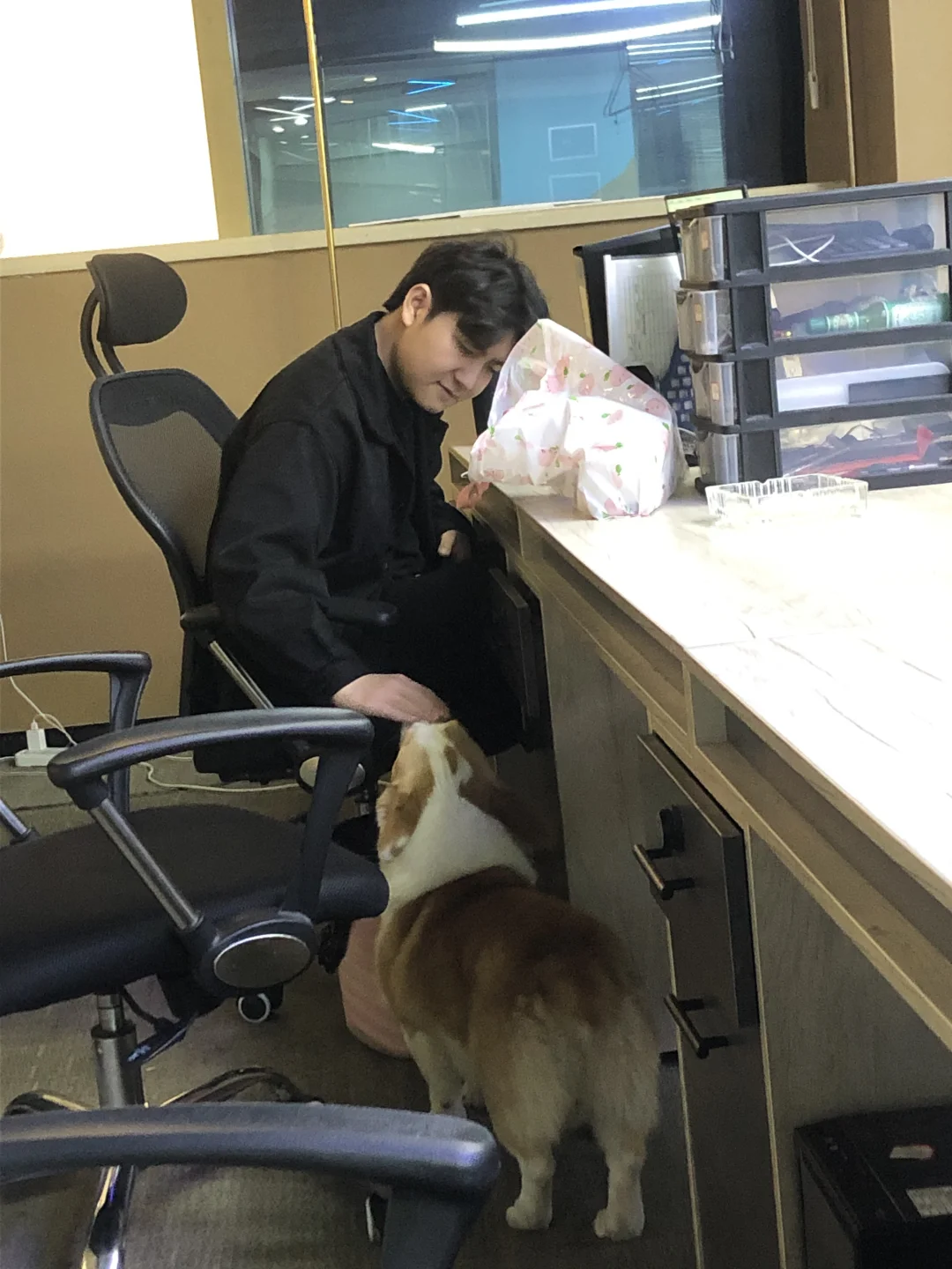 00后初创公司、缺人啊我的天！！