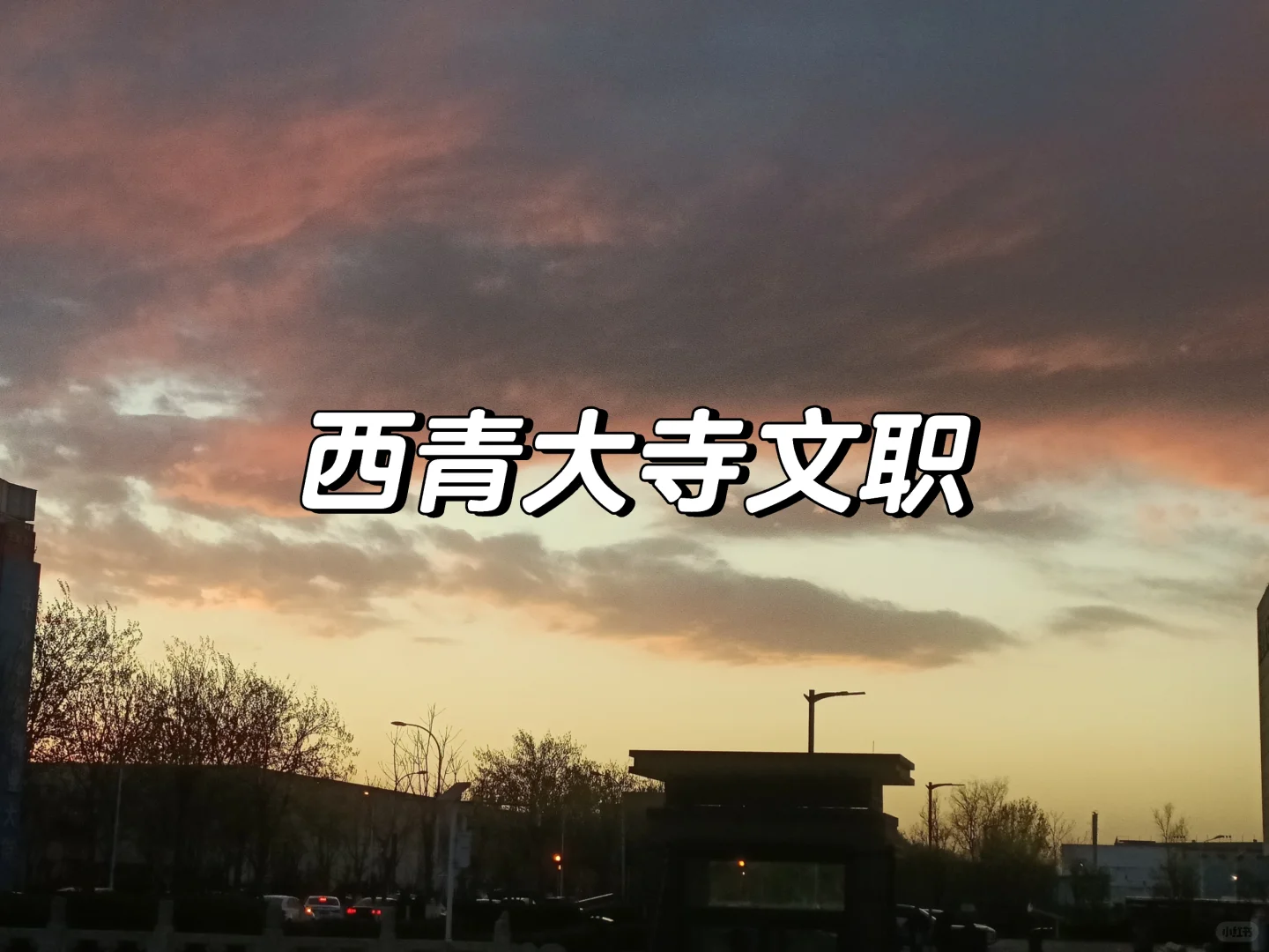 西青大寺文职招聘