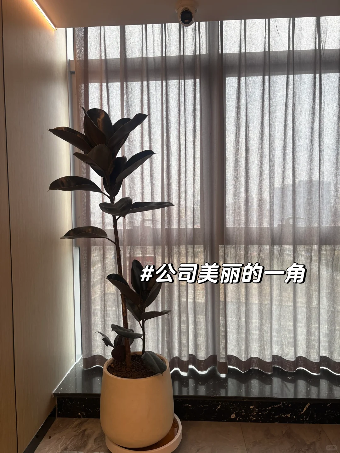 我敢说这是一家实力非常牛掰的公司