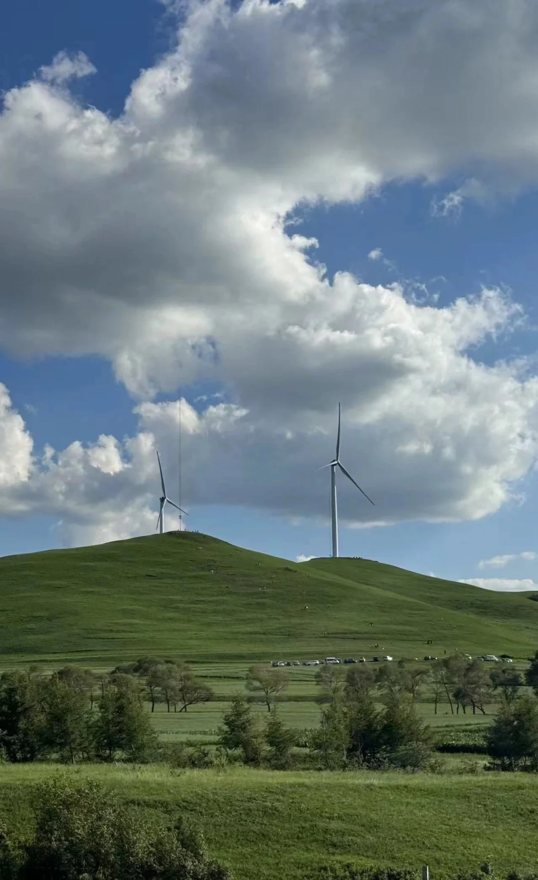 招聘舞蹈演员 马头琴 主持人 歌手