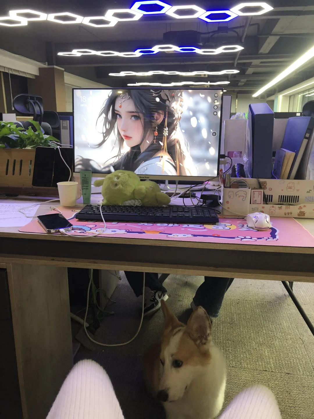 00后初创公司、缺人啊我的天！！