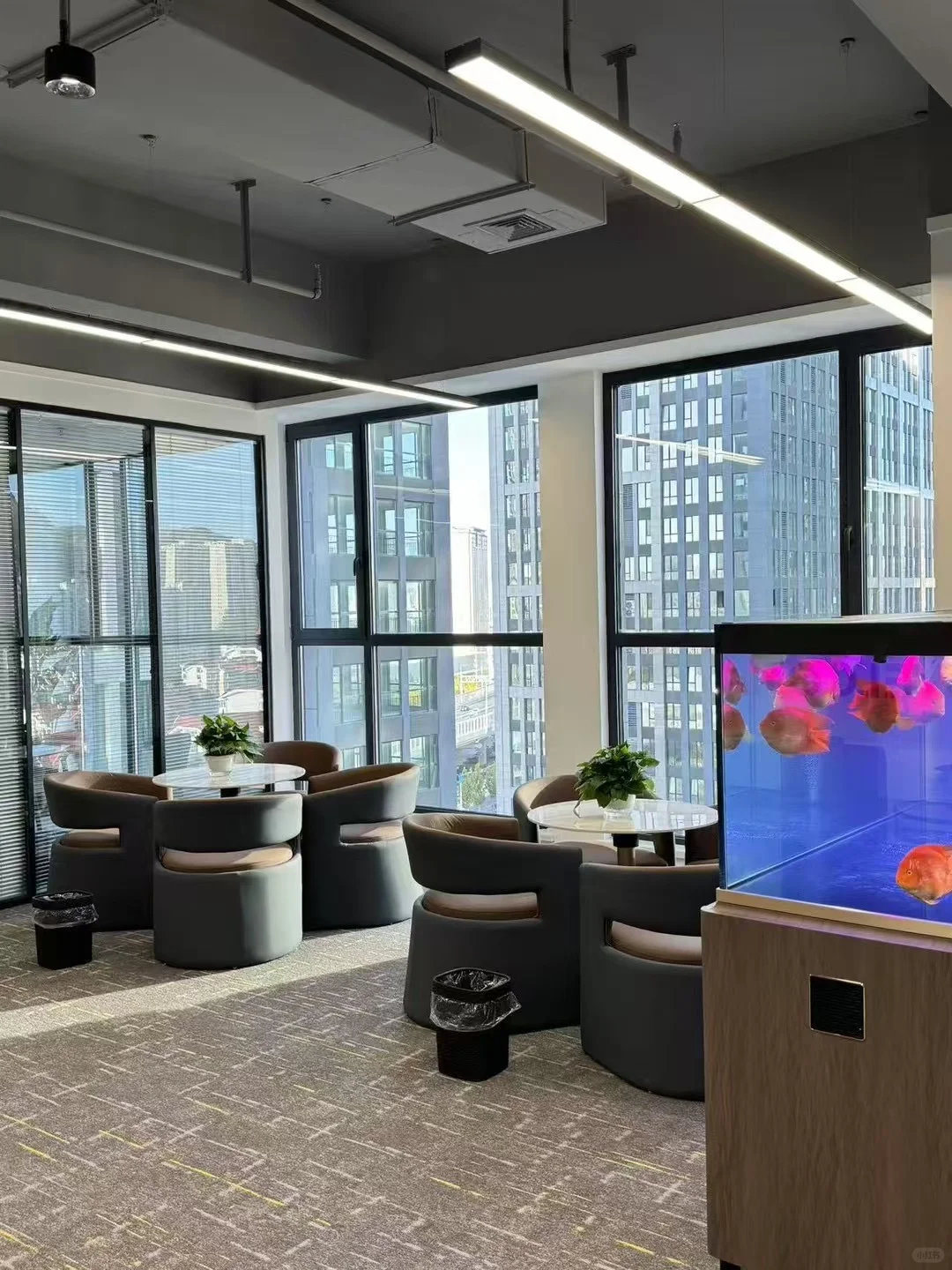 找工作的人都去哪里了？我们在招人呀