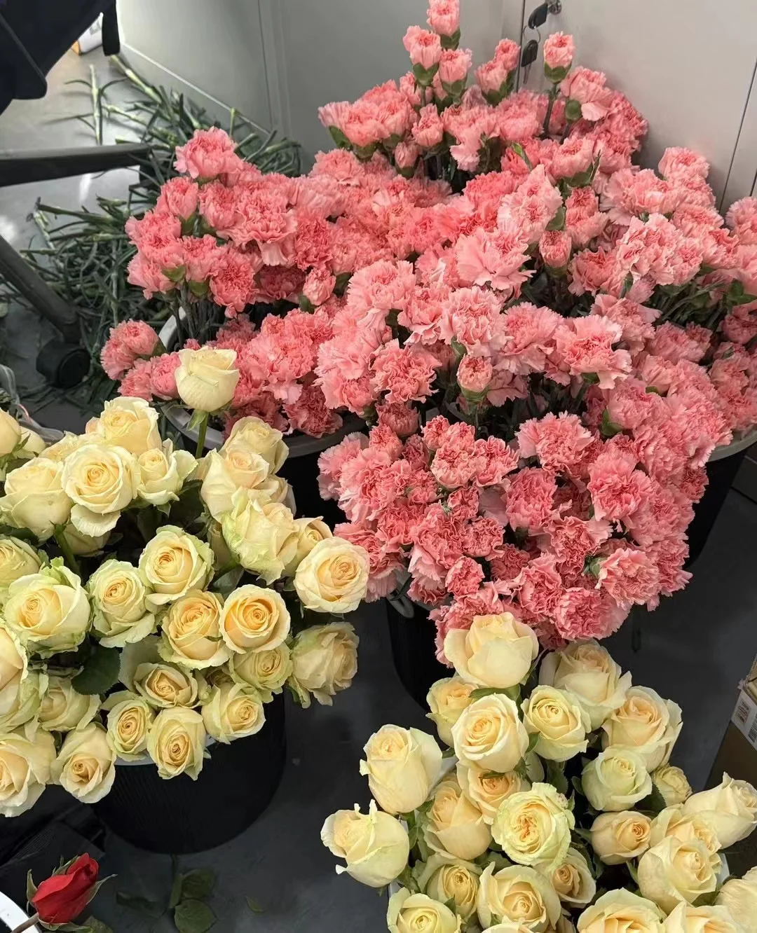 想要在工作界大展拳脚？我们正缺你！