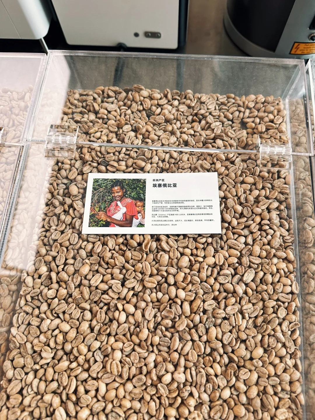 招个咖啡店店员陪我玩～