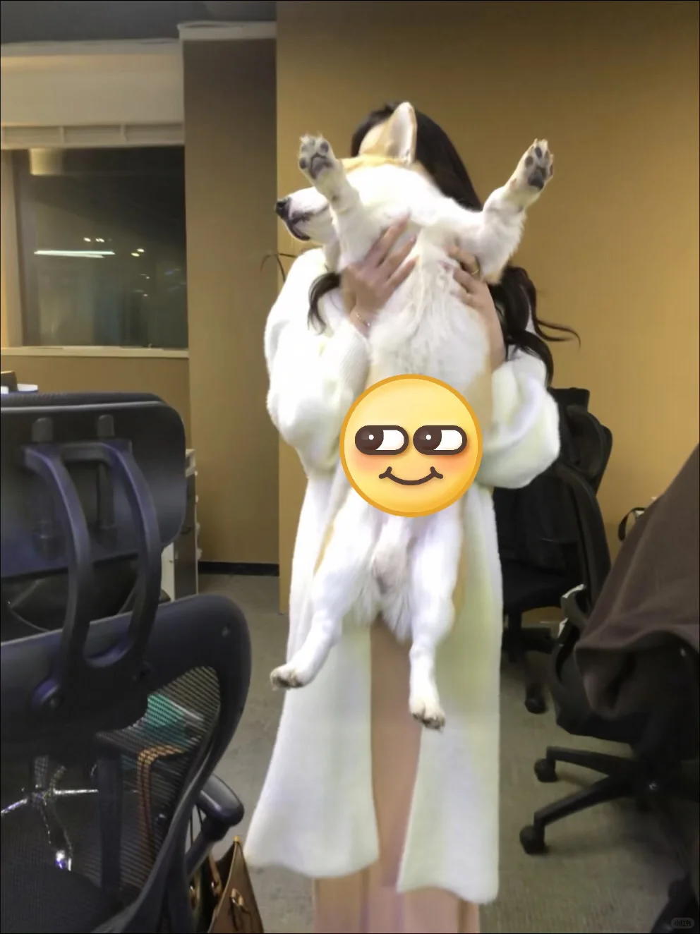 00后初创公司、缺人啊我的天！！