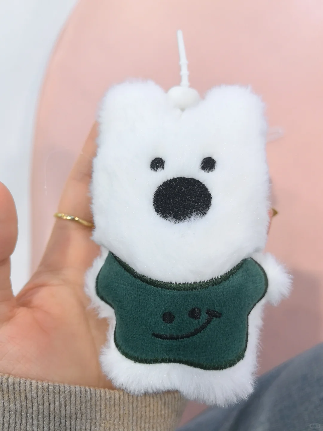 潍城区公立小学招聘社团老师