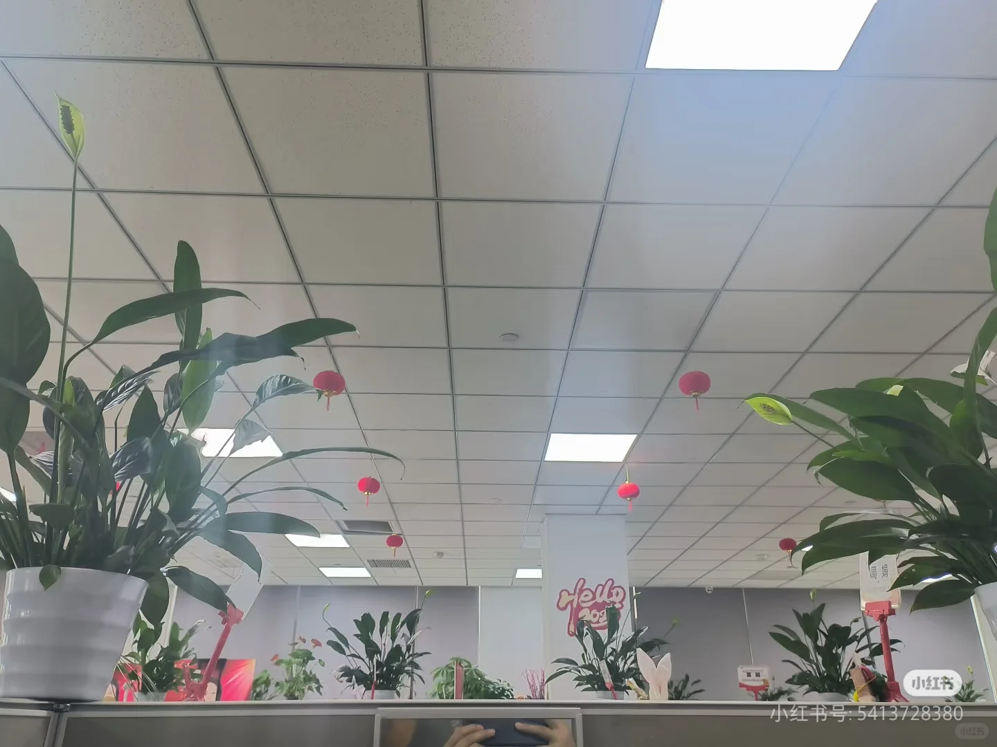 招聘啦 招聘啦 招聘啦