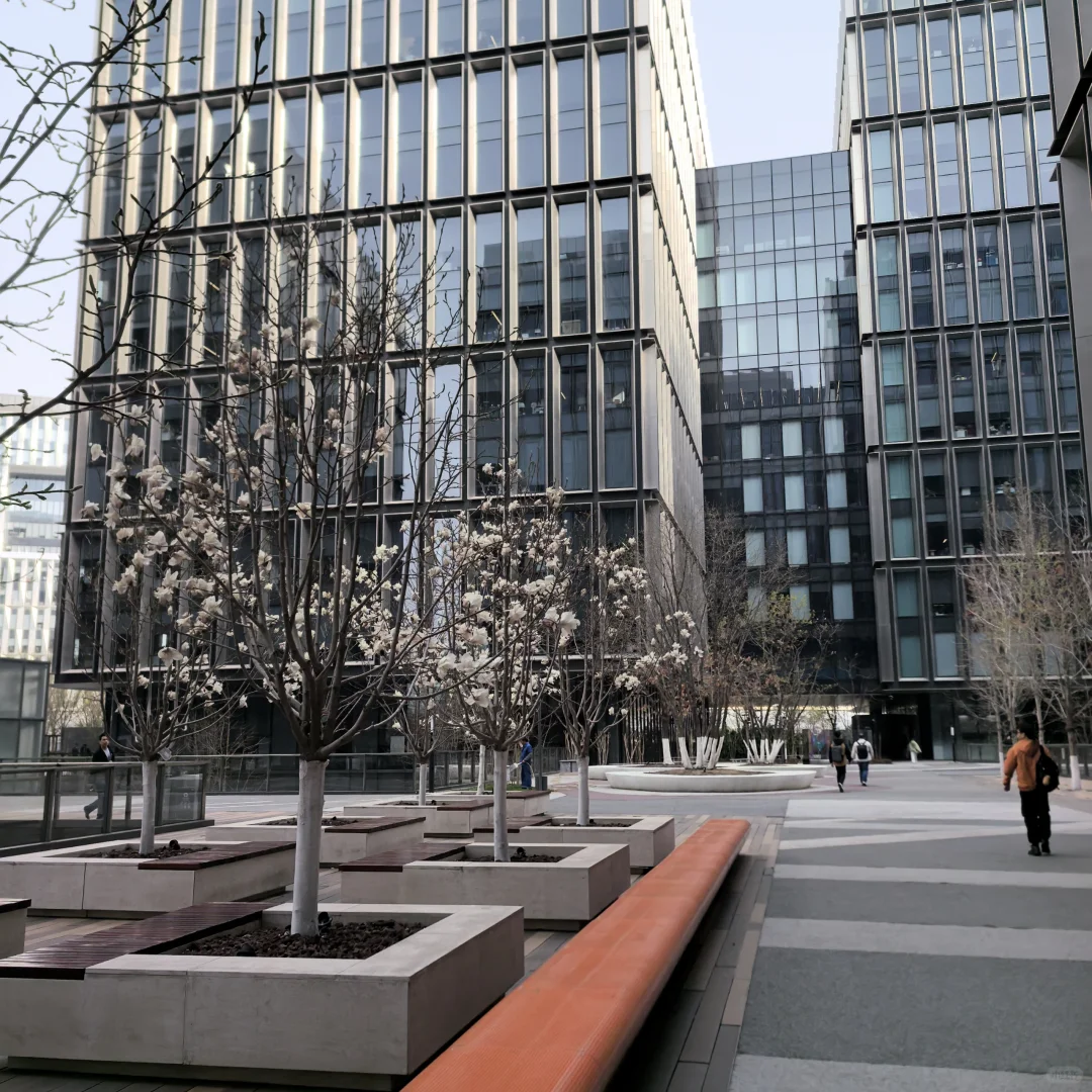 小米国际部招聘实习生内推！！！