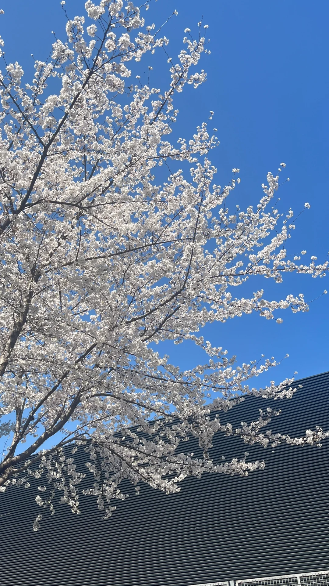 找工作的宝子 看过来！