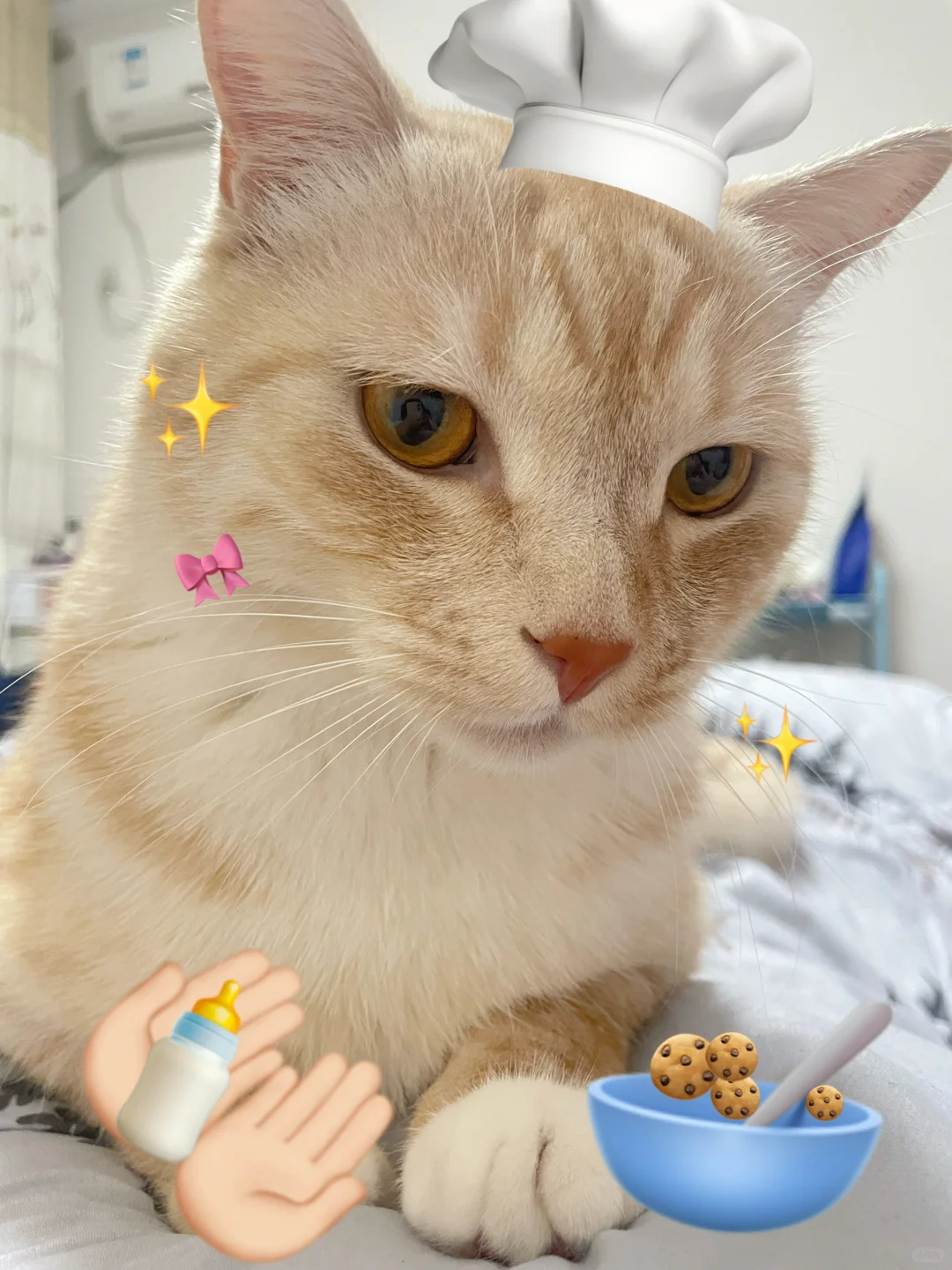 省三甲行政岗｜下班后10点20分我在干什么？