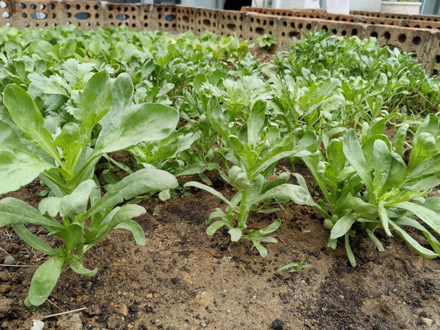 厦门求职找工作～招人～招聘销售岗位