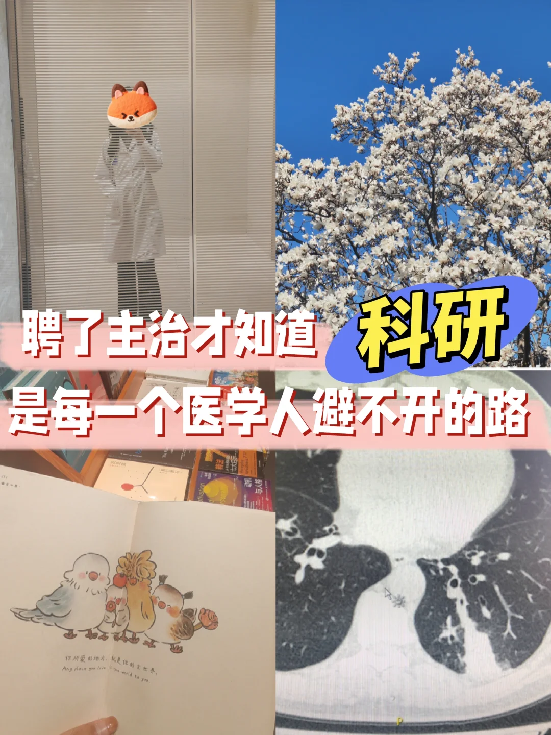 PLOG｜避不开科研就把它拿下！