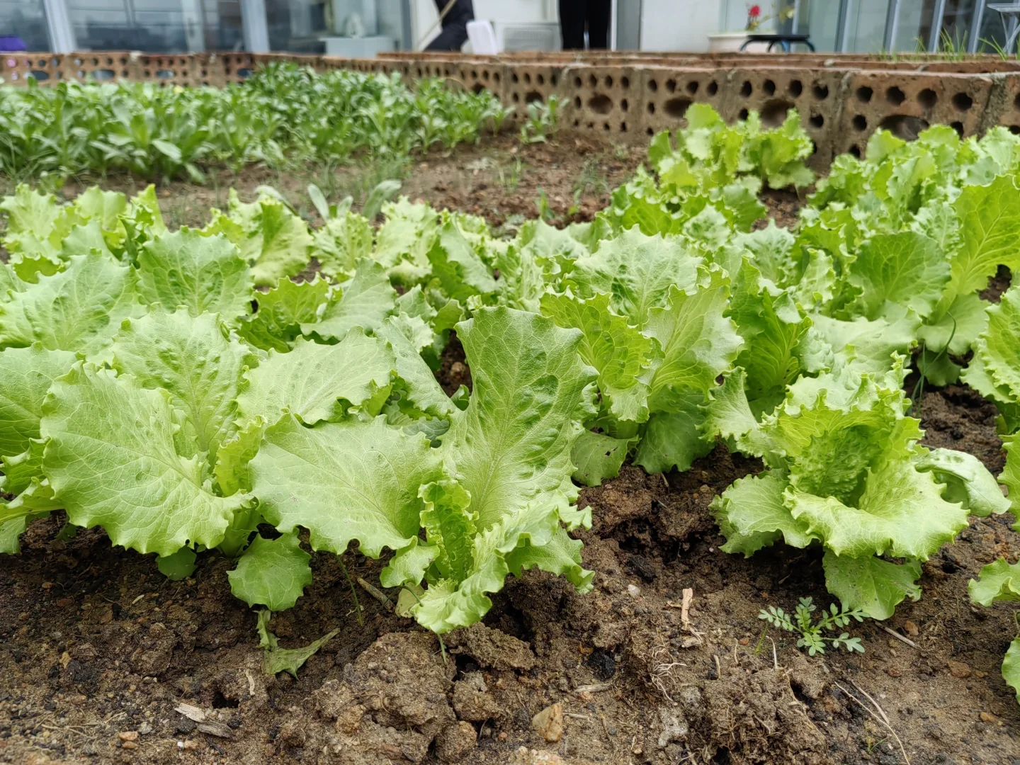 厦门求职找工作～招人～招聘销售岗位