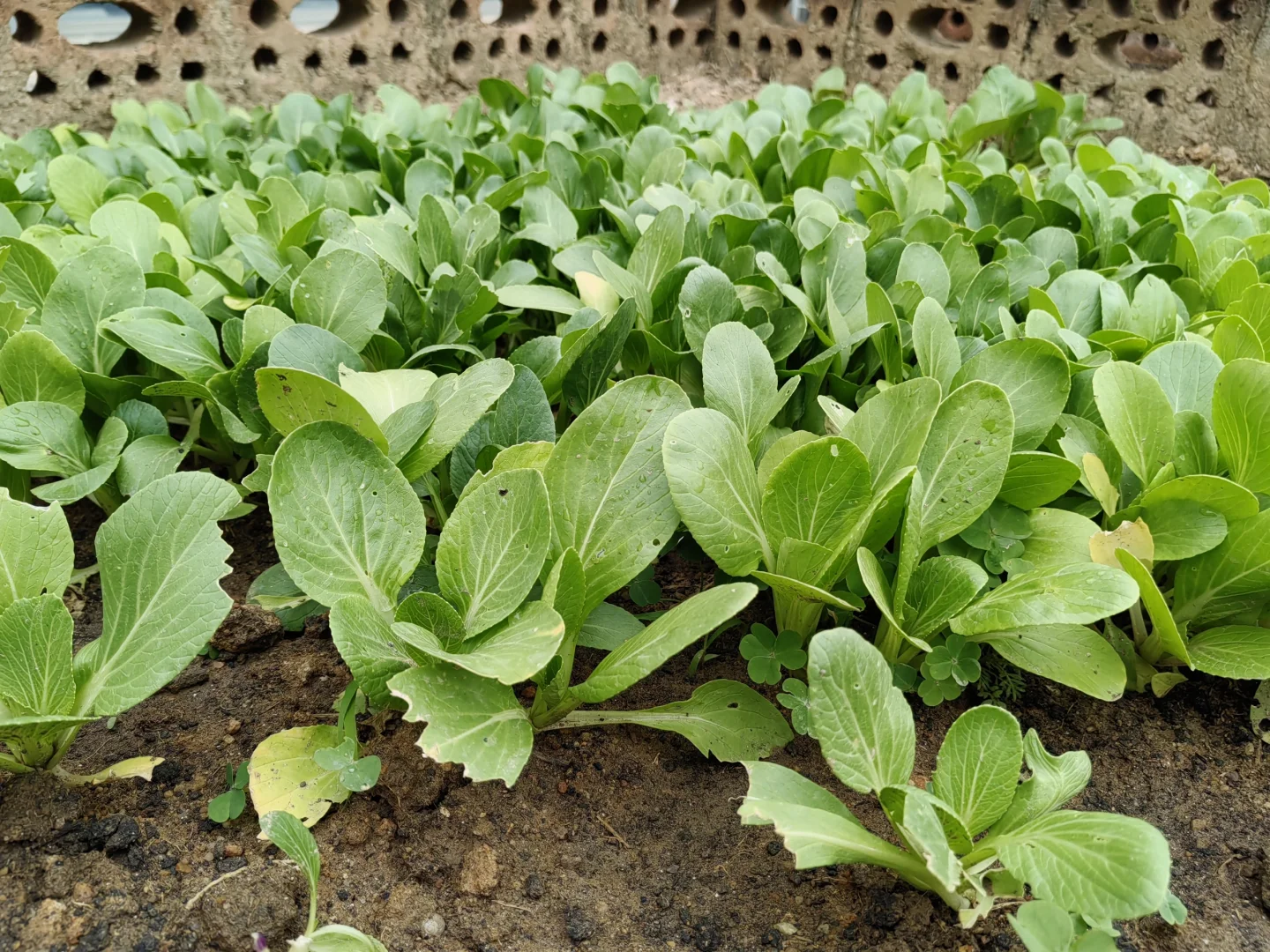 厦门求职找工作～招人～招聘销售岗位