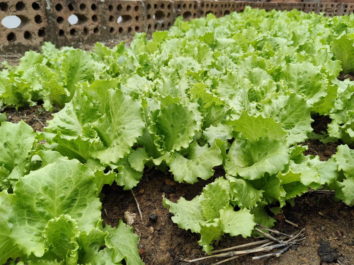 厦门求职找工作～招人～招聘销售岗位