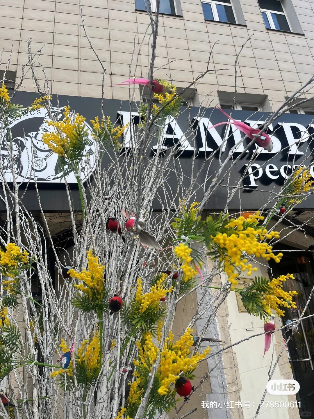 年薪100万!小米招懂俄语的你