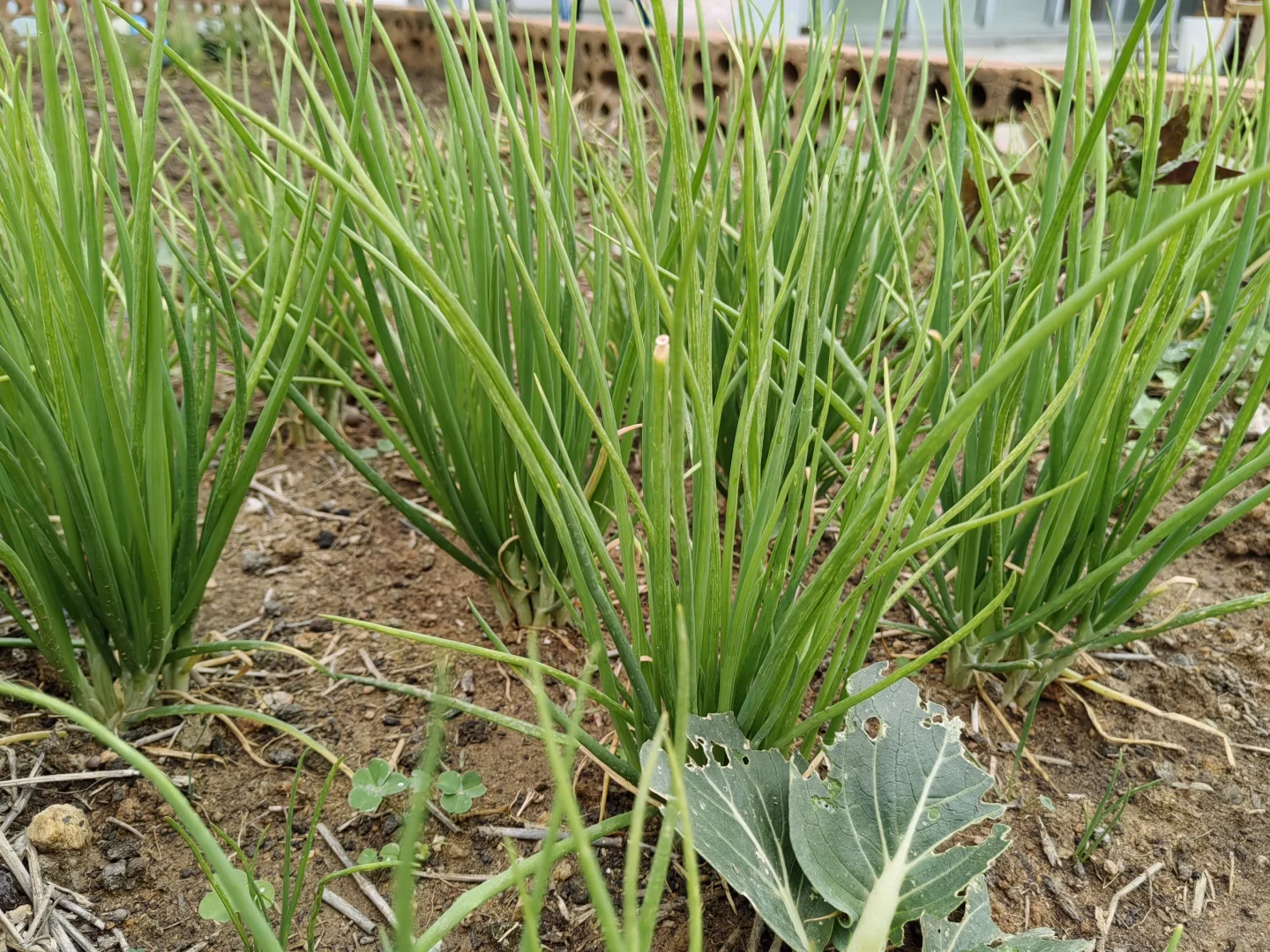 厦门求职找工作～招人～招聘销售岗位