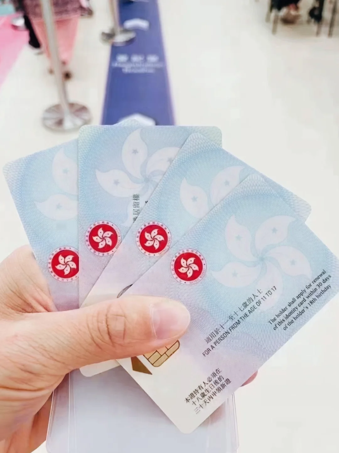 ✨香港临时身份被低估的宝藏！申请指南+福