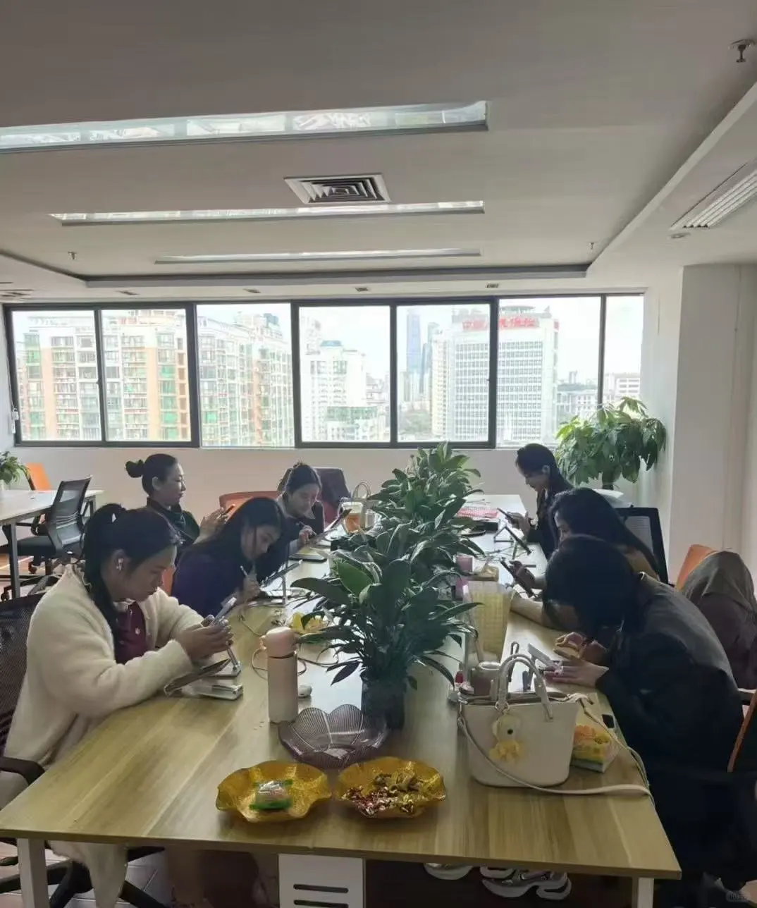 新公司招人啦！看过来！！！