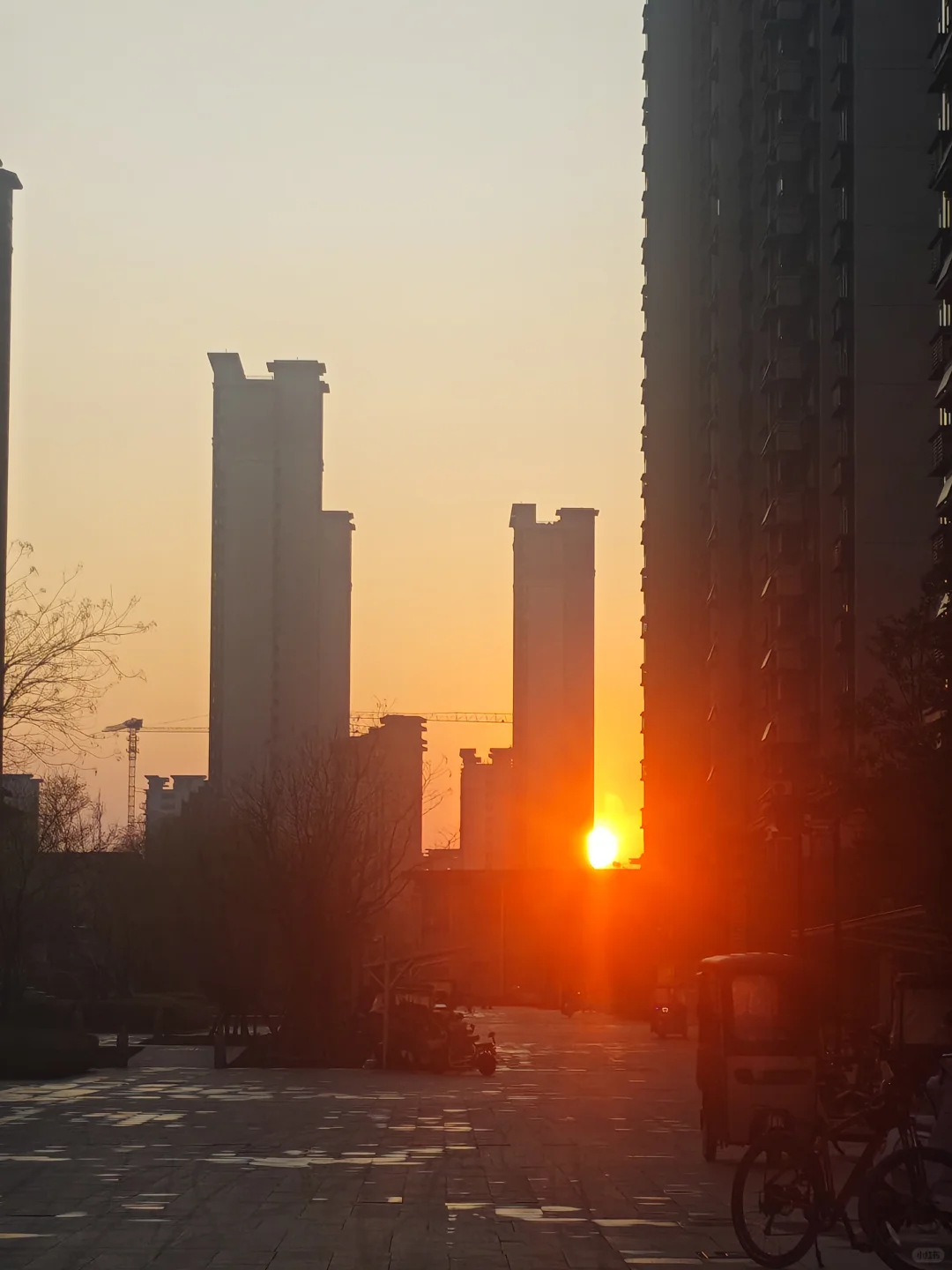 再招不到人要被逐出公司怎么办