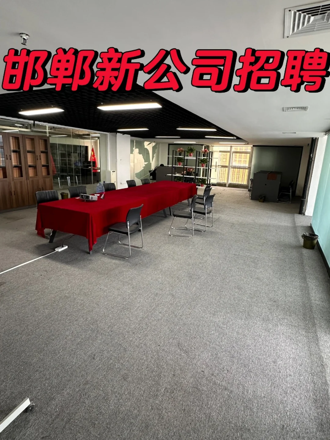 邯郸新公司招贤纳士