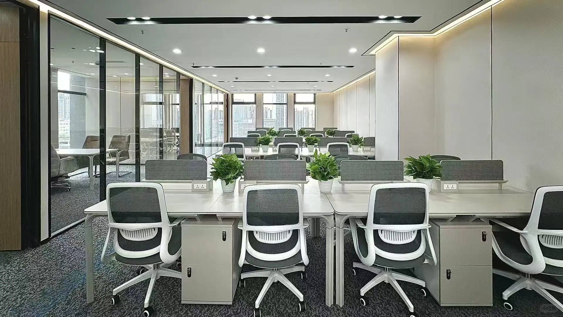 新公司招人啦！看过来！！！