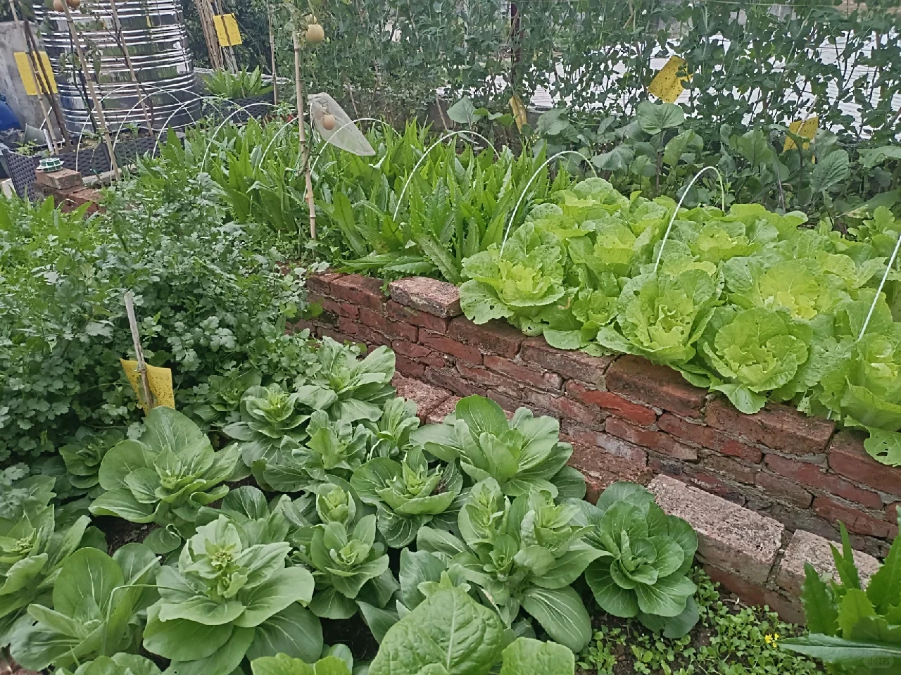 找了个统计员的工作，真是太难为我了吧😂