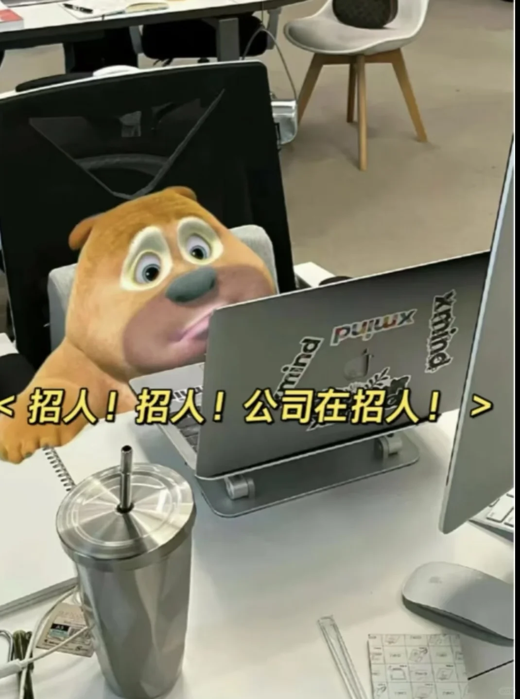 招聘啦招聘啦 感兴趣的可以私信！