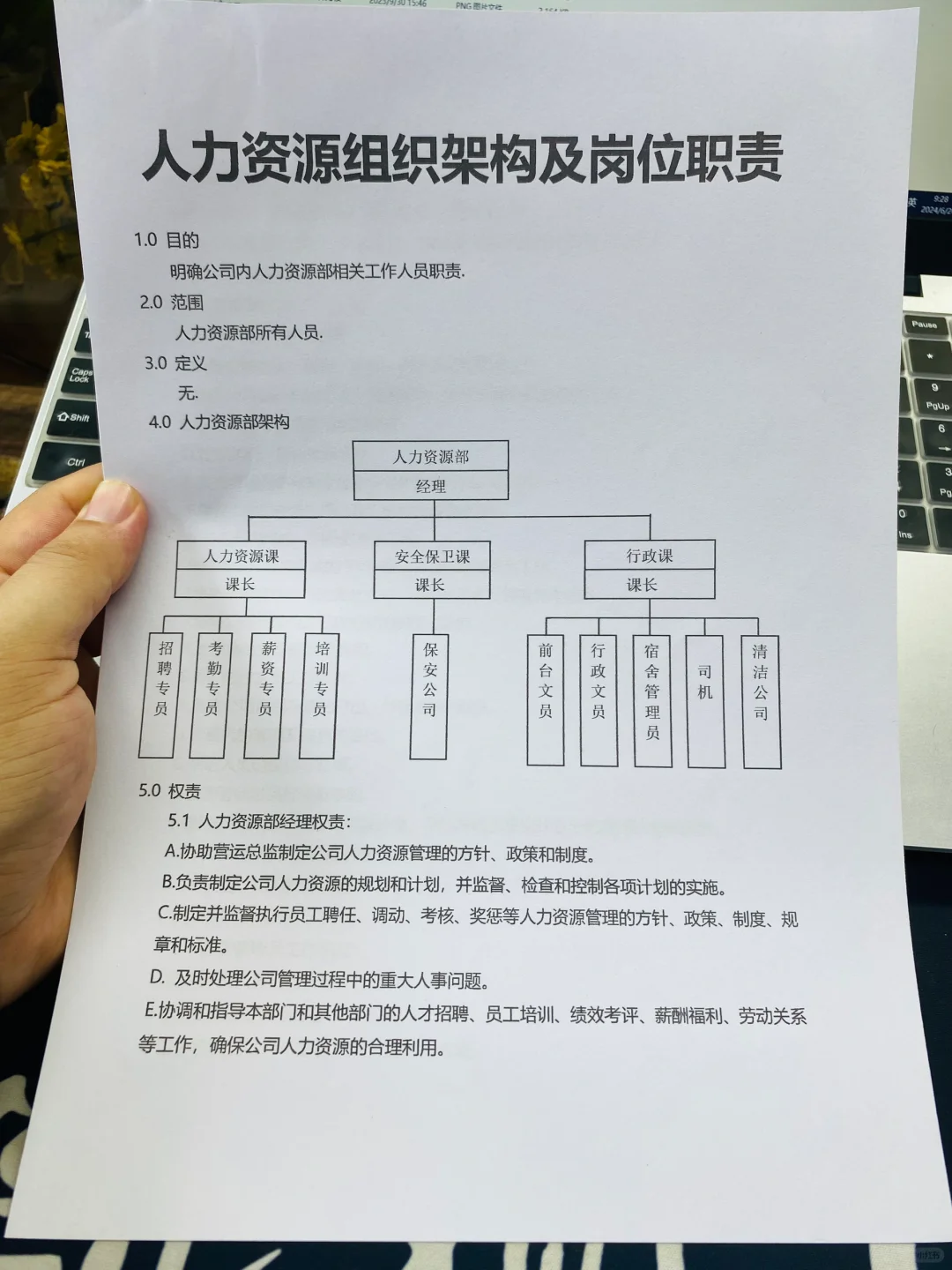 人力资源组织架构及岗位职责