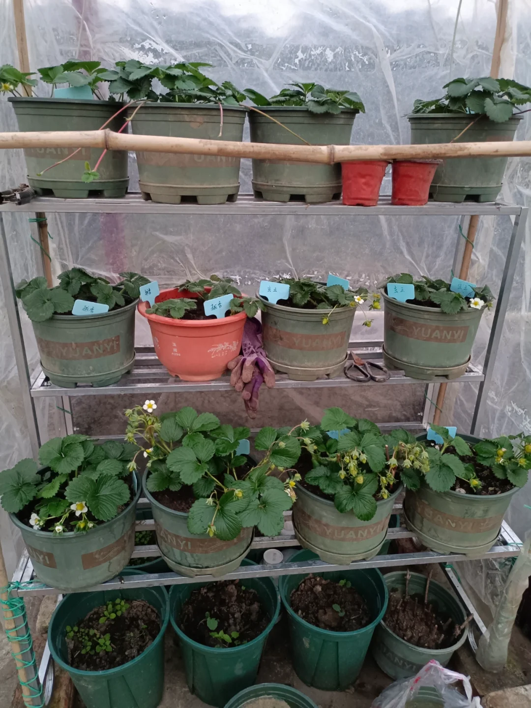 找了个统计员的工作，真是太难为我了吧😂