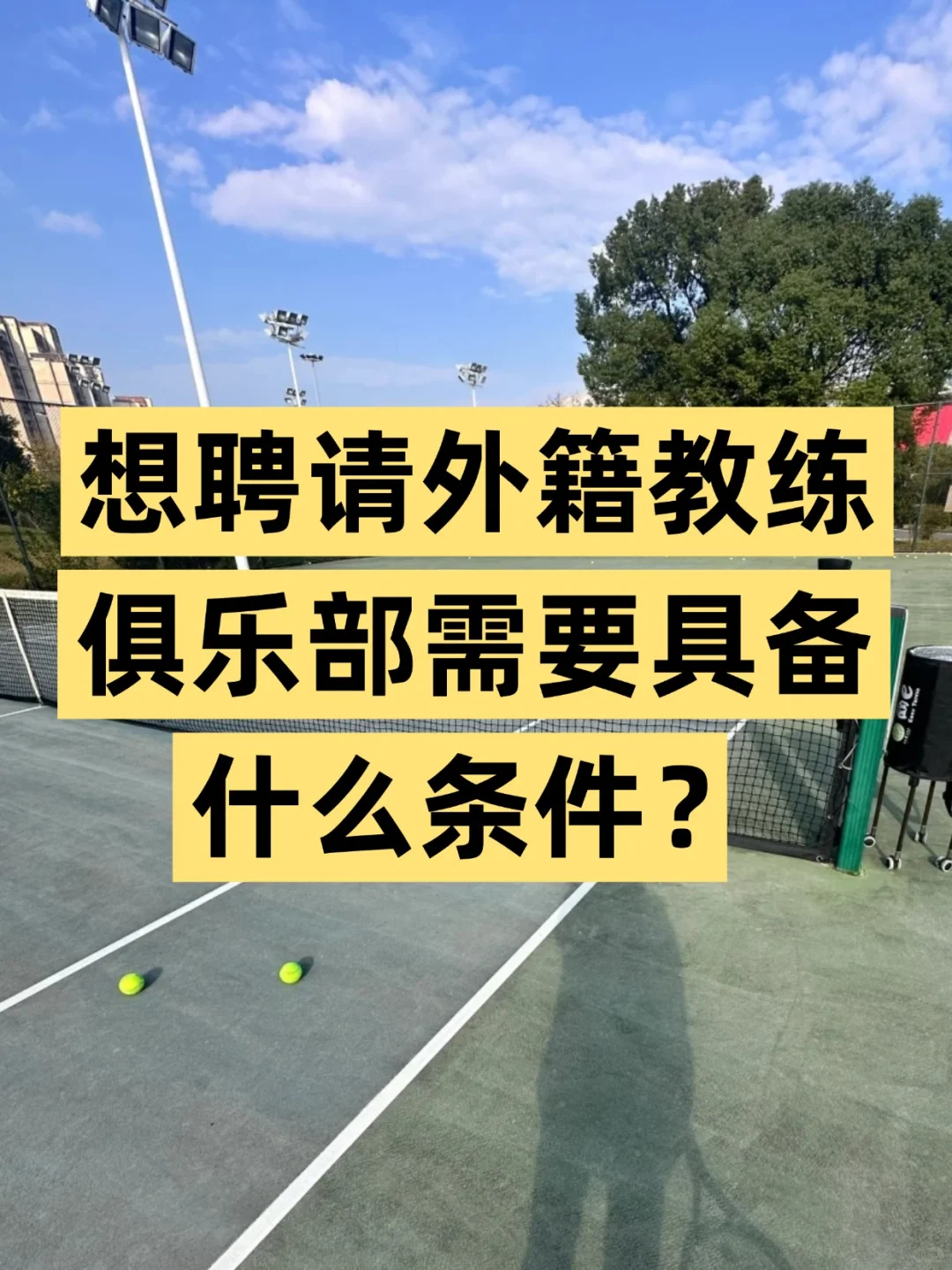 想要招聘外籍教练需要满足什么条件❓