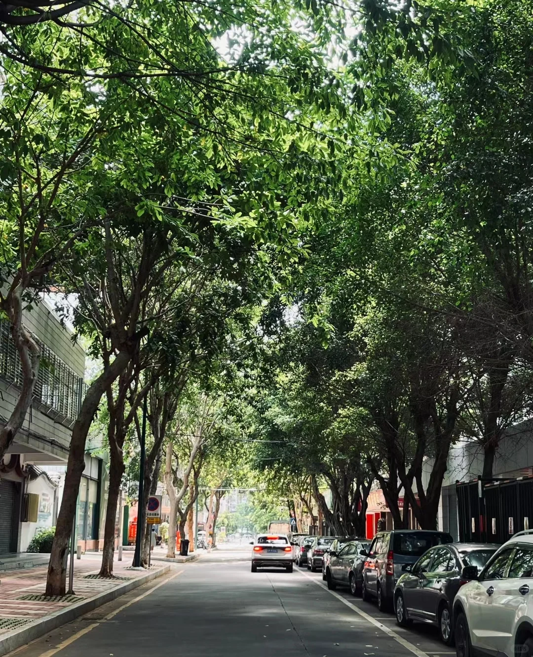 事业编VS备案制（小县城）