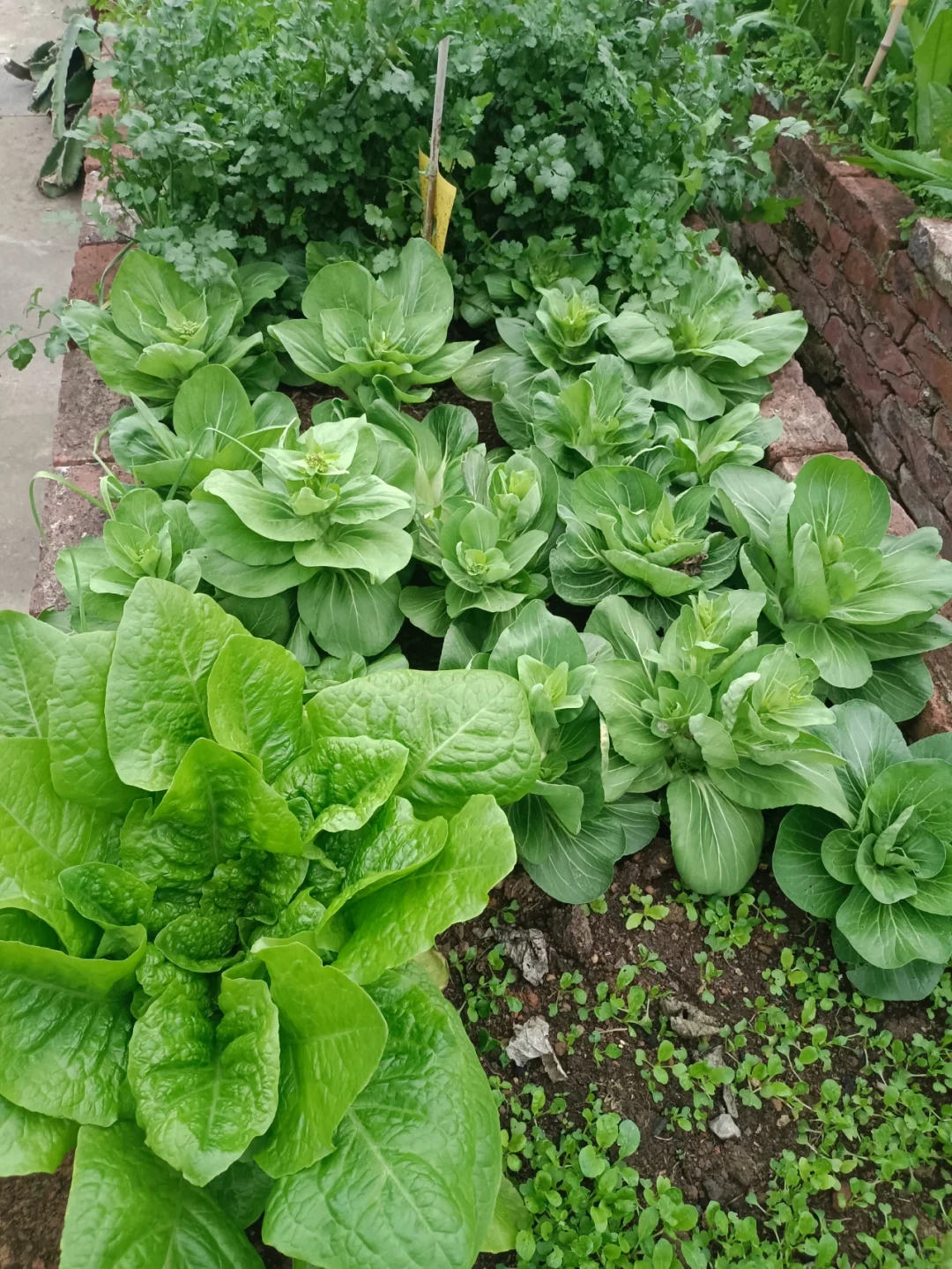 找了个统计员的工作，真是太难为我了吧😂