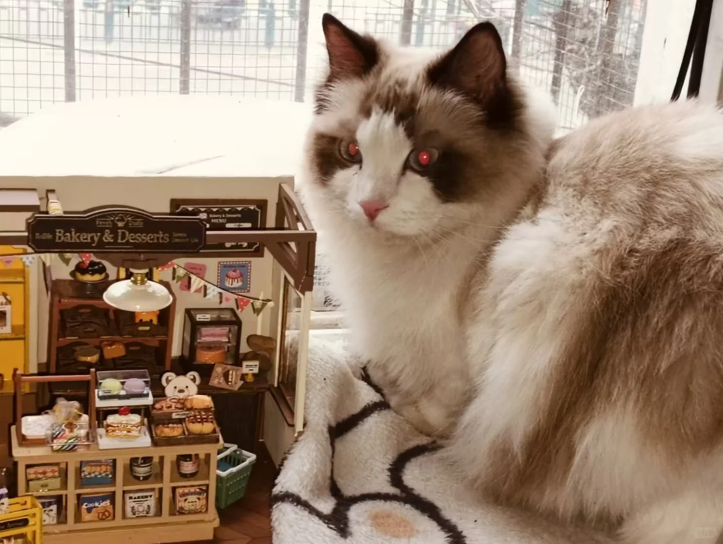 求聘～山东康驿有招保洁的吗