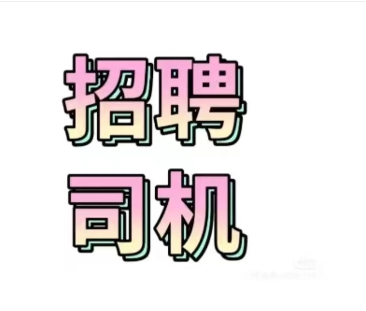 直聘驾驶员