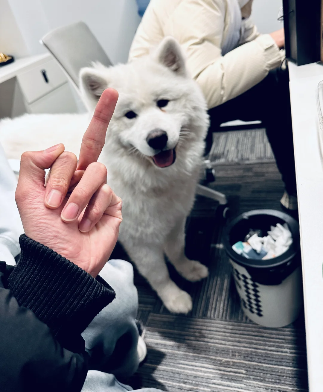 坐标：杭州！！！离地铁很近 公司很融洽！