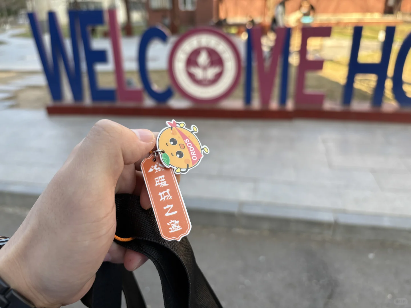 暖城之邀鄂尔多斯人才引进