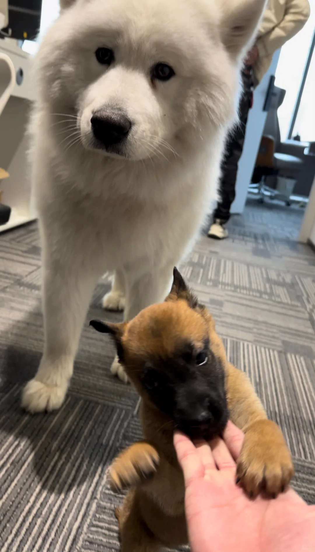 坐标：杭州！！！离地铁很近 公司很融洽！