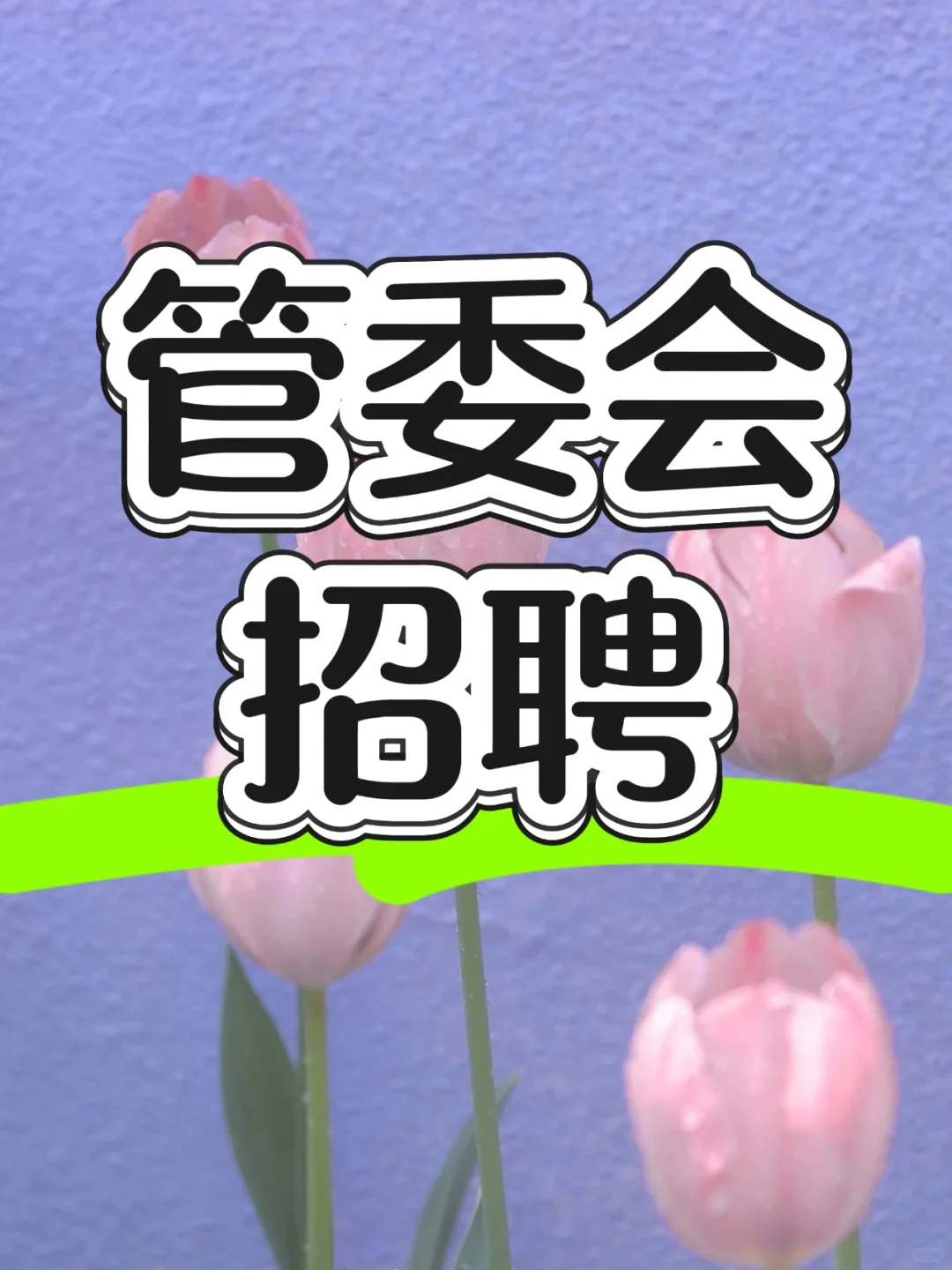 管委会招聘