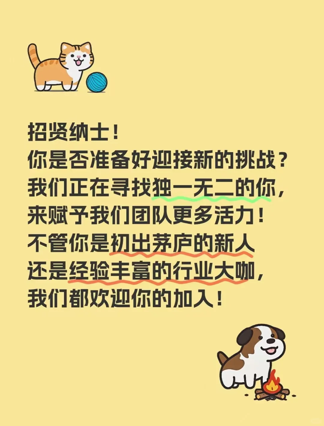 招人啦❗️❗️